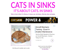 Tablet Screenshot of catsinsinks.com